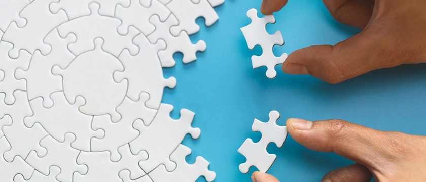 Entegre Yönetim Sistemleri